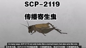 SCP-2119 传播寄生虫_哔哩哔哩_bilibili