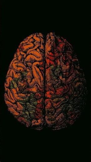 Brain - Tech House