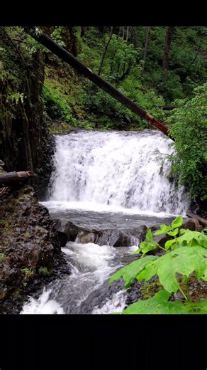 Dutchman Falls | 4K Nature Ambience | Columbia River Gorge | PNW Relaxation Nature Sounds