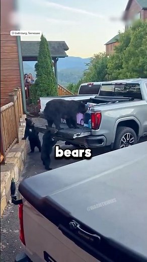 Don’t check the sound 💔