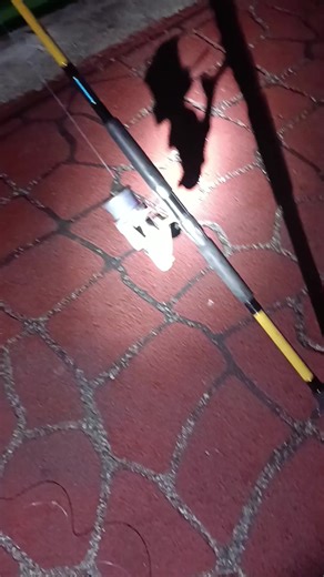 Fishing for Red Snapper: Best Bait Techniques