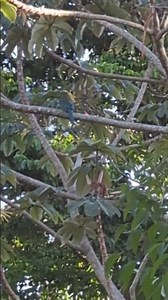 #Elave#nacional#elsalvador😱