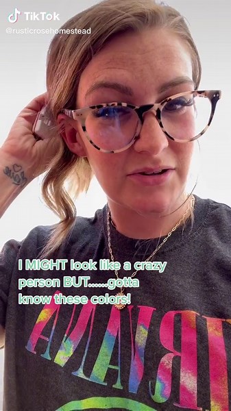 ColorReader EZ is definitely a DIY musy have! 🤌🏼 shop link in bio for $10 off @colorreader #diytiktok #painthack #paintok #paint #diyproject