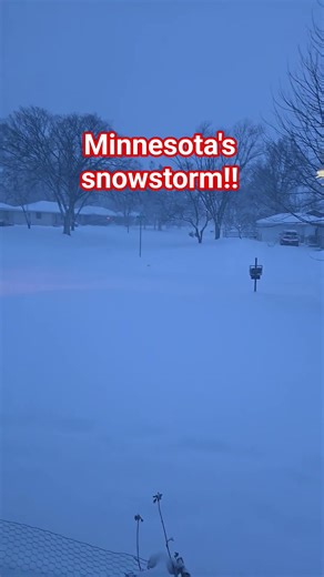 geeezzzz...too much snow in Minnesota #snowstorm #winterwonderland #ytshortsvideo