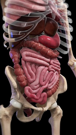 3.1M views · 33K reactions |  Join Us for a Journey Inside the Human...