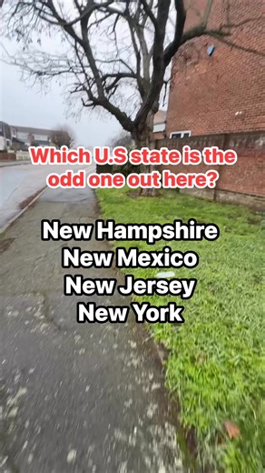 Who knows which U.S state is the odd one out here? 😍 | The D Family Riddles Games and Hacks