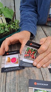 52 reactions · 5 comments | What to sow in July? The season is in...