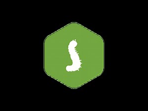 OpenLDAP Monitoring with Instana | IBM