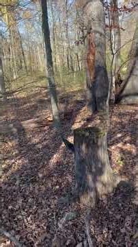 Unique Property Markers and CAUV