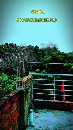 MORNING VIEW IN MY VILLAGE #relaxing #relaxingmusic #nature #viralvideo #viralvideo #naturelovers