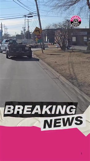 Anti‑ICE protesters at the ICE facility in Broadview, Illinois, are displaying a piñata dressed in an “ICE” shirt. These protests are getting increasingly theatrical. | Thunder Hoodie News