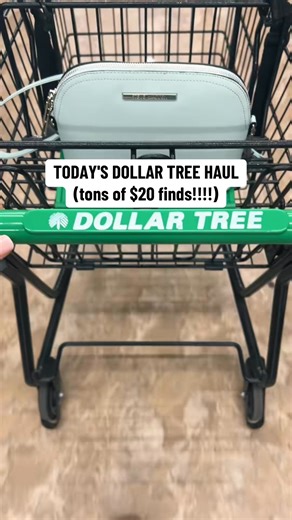 120K views · 877 reactions | live, laugh, love Dollar Tree  #dollartree #dollartreehaul #dollartreefinds #dollartreemusthaves #newatdollartree #dollartreeshopping #dollartreebeautyfinds #girlytips | Assunta Raynor | Facebook
