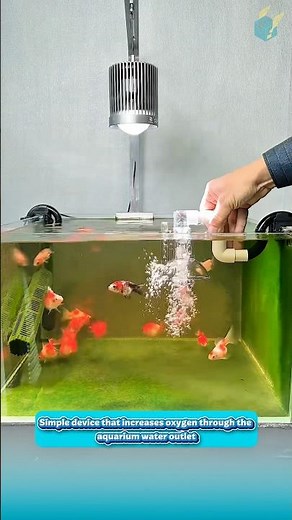 Simple device that increases oxygen through the aquarium water outlet