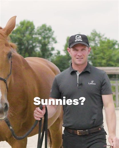 Is your horse flip flop proof? 藍 Get access to TRT Method and help your horse feel confident and relaxed in every situation. And with my special Summer Offer, you can now get 90% off lifetime access!  https://trtmethod.com/summer-offer/ | TRTmethod | Facebook