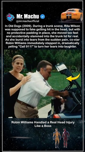 In Old Dogs (2009), How Robin Williams Handled a Real Head Injury Like a Boss !