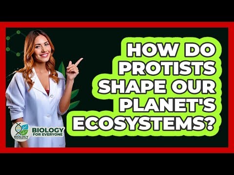 How Do Protists Shape Our Planet's Ecosystems? - Biology For Everyone