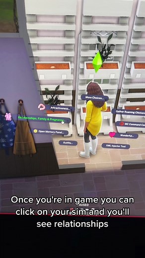 Sims 4 Relationship & Pregnancy Overhaul Mod Overview