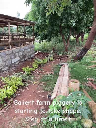 Salient Farm Piggery: Step-by-Step Transformation | Pig Farming in Kenya