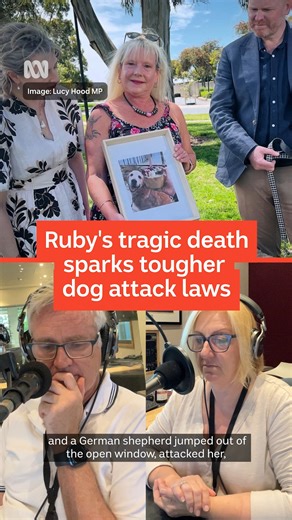 84K views · 1.8K reactions | “This is for Ruby.” ❤️ Some of the...