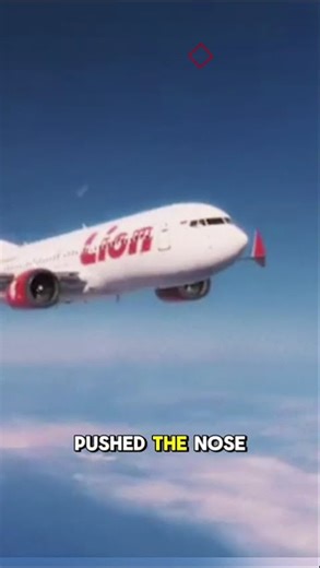 Pilots Fought the Controls Until the End. #planecrash #aviation #planecrashexplained #ytshorts