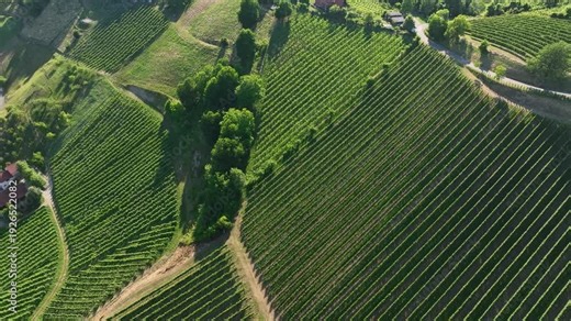 Aerial footage shows winding roads crossing Styria vineyards on steep hills, warm sunset colors shaping soft curves of land, peaceful movement, quiet atmosphere of summer wine region.