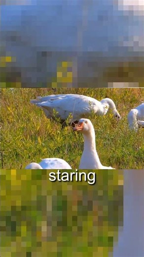 This Phobia Is Weirdly Specific