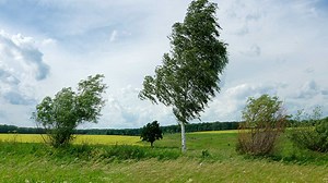 How strong were the wind gusts across the Valley?