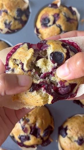 Blueberry Zucchini Muffins | Plant-Based on a Budget