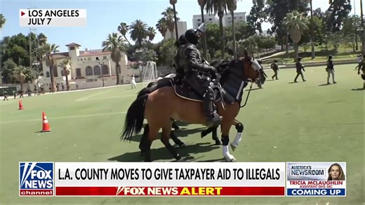 Los Angeles County pushes plan to use taxpayer funds for illegal migrants