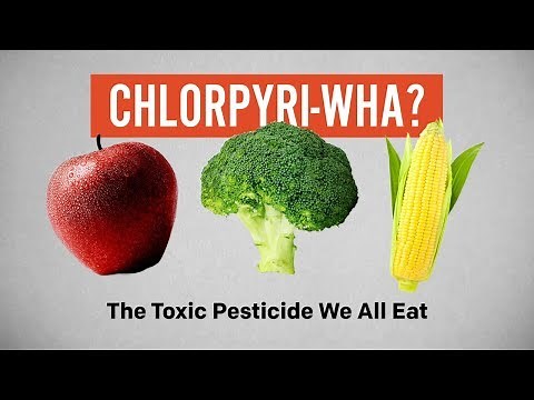 Chlorpyrifos : The Toxic Pesticide We All Eat