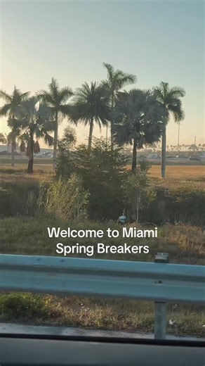 Spring break 2026 #miami #fortlauderdale #southflorida #beach #springbreak