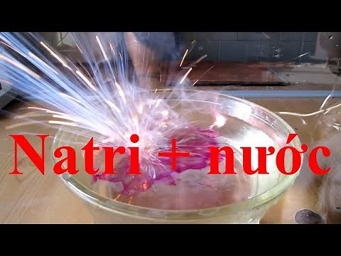 Thí nghiệm : Natri tác dụng với nước (Na + H2O)