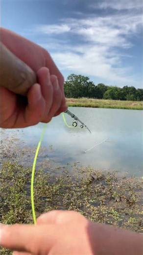 Fly Fishing With The Clouser Minnow | Texas Flies