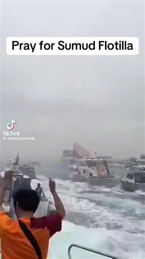 FREE FREE PALESTINE BOYCOTT ISRAEL PRODUCTS