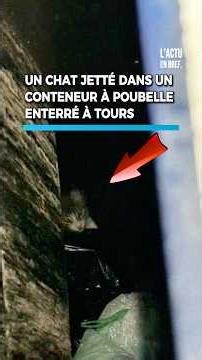 À Tours, en Indre-et-Loire, une histoire bouleversante mais pleine d’espoir…