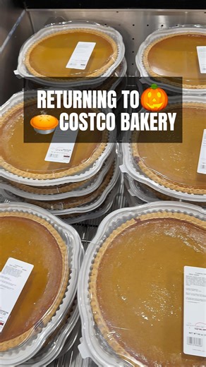Costco bakery’s Pumpkin Pie is back for $5.99, and it’s the seasonal return everyone waits for. Huge, creamy, and perfectly spiced, it’s a holiday must-have—share with a friend who loves pumpkin pie! #costcofinds #costcowonders #costcoinfluencer #costco #costcobakery #pumpkinpie #fallfavorites #seasonalatcostco #holidaydesserts #costcofood | Costco Wonders