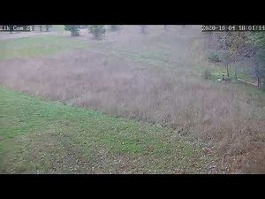 Elk Cam 2 Live Stream