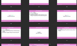 Medical Terminology Flashcards: Reproductive System - Etsy