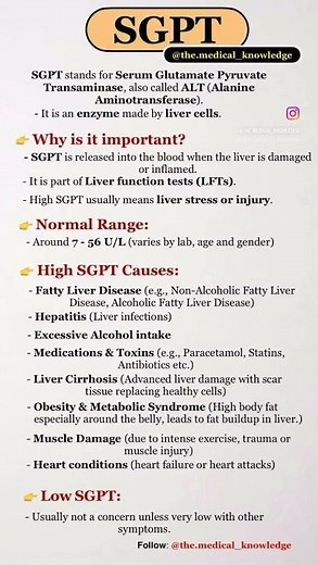 SGPT High? Liver Damage Explained | Liver enzymes… #sgpt #shorts
