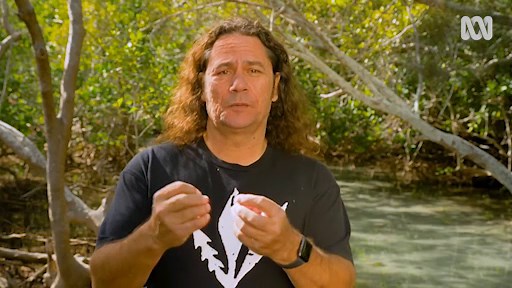 Mangroves - Gardening Australia