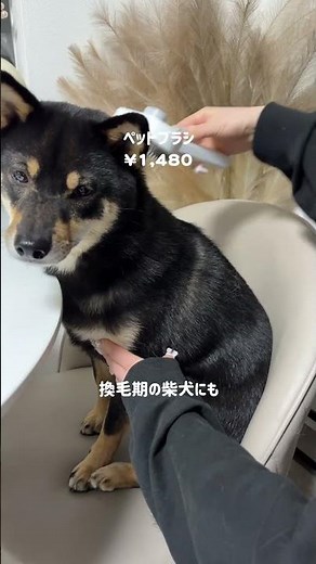話題のTAO！商品紹介レビュー