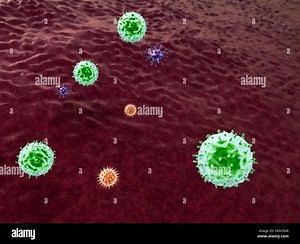 macrophage kills the viruses, 3d rendered macrophage and virus, inside human body, Medical video background, viruses in the human body Stock Photo - Alamy