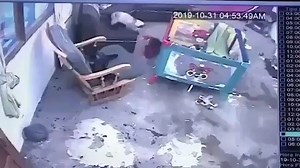 14M views · 551K reactions | Un gato salvó a un bebé de caer por las escaleras cuando el pequeño jugaba en la terraza de su hogar en Colombia. Las imágenes recorren el mundo. | Periódico El Progreso | Facebook