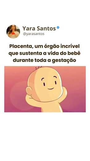 Yara Santos | Nutricionista on Instagram: "A placenta é um órgão temporário e altamente especializado, essencial para manter a gestação e nutrir o feto. Ela começa a se formar logo após a implantação do embrião e, a partir da 5ª semana, passa por uma remodelação das artérias uterinas que garante uma circulação de alto fluxo e baixa resistência — fundamental para levar oxigênio e nutrientes ao bebê. Sua função depende de intensa angiogênese, produção hormonal e troca de substâncias entre mãe e fe