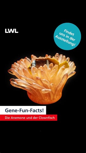 Gene-Fun-Facts: Die Anemone und der Clownfisch
