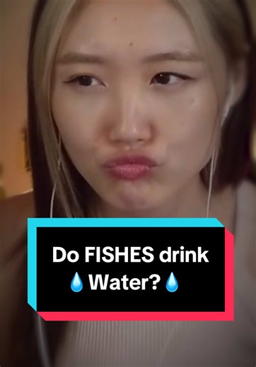 Do Fish Drink Water? Discover the Truth Behind Fish Hydration