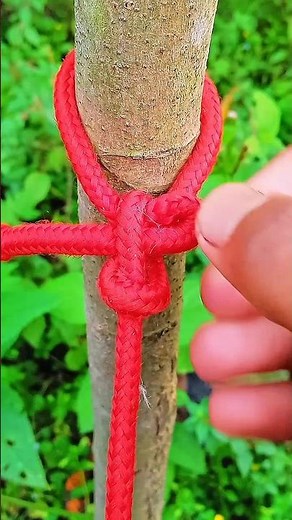 Useful Rope Knot Tutorial: Tying a Rope to a Tree
