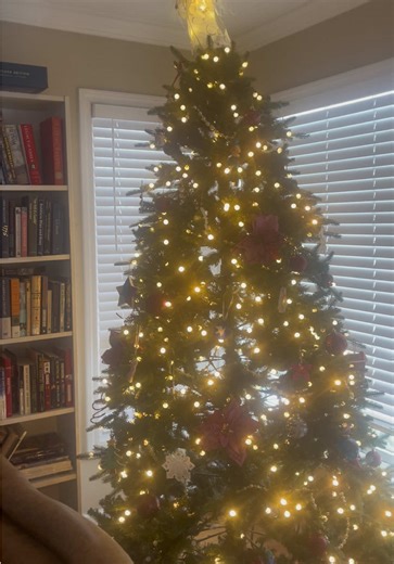 I could probably list 1000 things I wanted more than AI #christmasdecorating #christmastree #technology