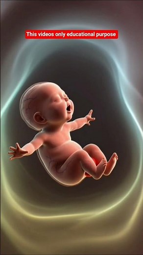 How Babies Grow in the Womb | 3D Medical Animation | Pregnancy & Fetal Development Explained
