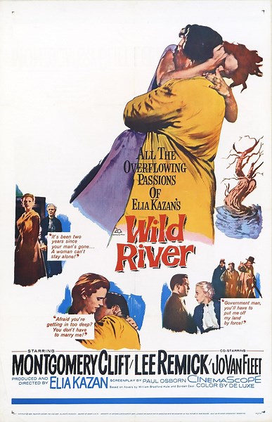 Wild River (1960) ⭐ 7.5 | Drama, History, Romance
